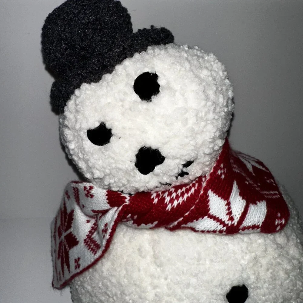 Aldi Extra Derpy Snowman Sherpa Pillow 2024 Edition 12